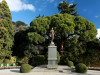 Der Botanische Garten Nikita 
