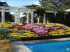 Der Botanische Garten Nikita 