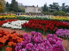 Der Botanische Garten Nikita 