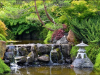 Der Botanische Garten Nikita 