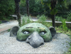 Der Botanische Garten Nikita 