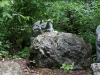 Der Botanische Garten Nikita 