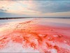 Sasyk-Sivash -  озеро Сасык-Сиваш
