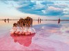 Sasyk-Sivash -  озеро Сасык-Сиваш