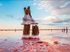 Sasyk-Sivash -  озеро Сасык-Сиваш
