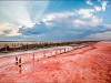 Sasyk-Sivash -  озеро Сасык-Сиваш